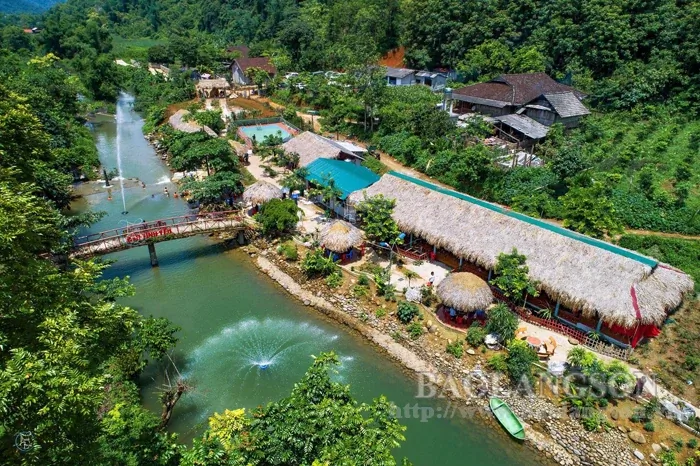 Combo Sống Khác