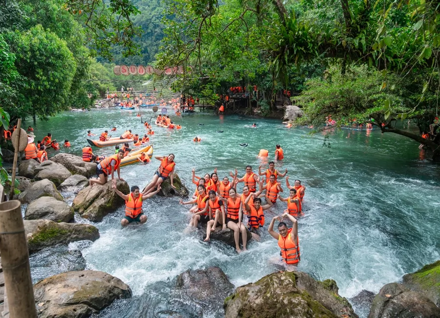 Vườn cây